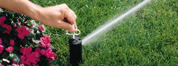 Spring Sprinkler Start-Ups - Lakes Landscape Services